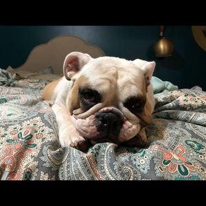 Meet your Posher, Laurie